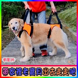 行走輔助帶 老犬介護行動不便老寶貝復健髖關節大型犬年長犬老犬行走輔助 蝦皮購物