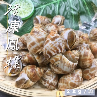 【阿珠媽海產】活凍鳳螺 50/80 冷凍鳳螺 2kg 胡椒鳳螺 椒鹽鳳螺 山產類 印度短螺 鳳螺肉 下酒菜 鳳螺