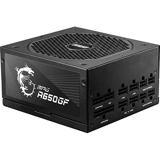 [限時下殺] MSI MPG A650GF 電源供應器 金牌 模組化線材 10年保固