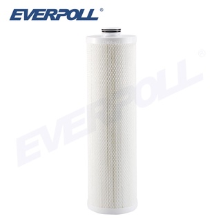 【EVERPOLL】傳家寶全戶濾淨專用濾芯 (FH-050)