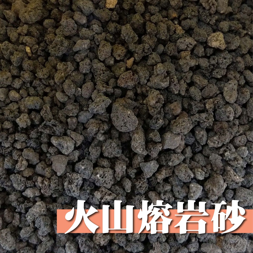水族便利購 火山熔岩砂黑 紅火山熔岩沙1kg 2kg 熔岩石造景石硝化石底砂濾材造景天然魚缸底沙 蝦皮購物