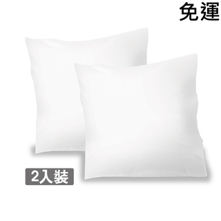 枕心2入 臺灣製 45cm/枕芯/棉心/抱枕/填充/枕頭 免運費 現貨 廠商直送