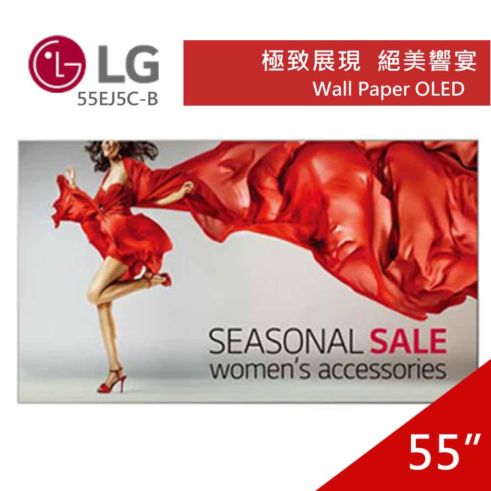 LG 樂金55型OLED Wall Paper 55EJ5C-B