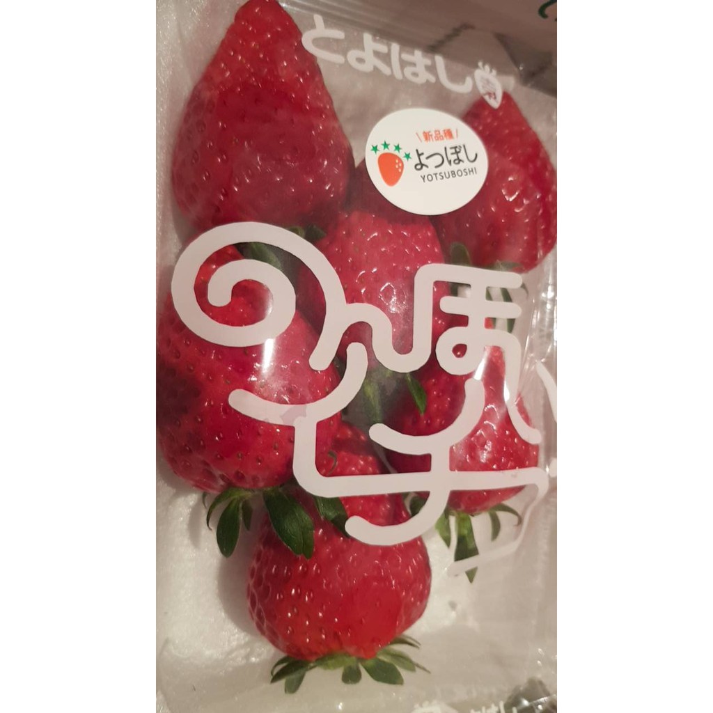日本草莓.草莓苗. 愛知 四星(よつぼし)草莓種子