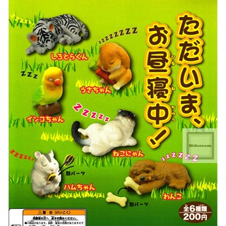 日本株式會社 現在睡眠中 轉蛋扭蛋 全六種 睡覺動物