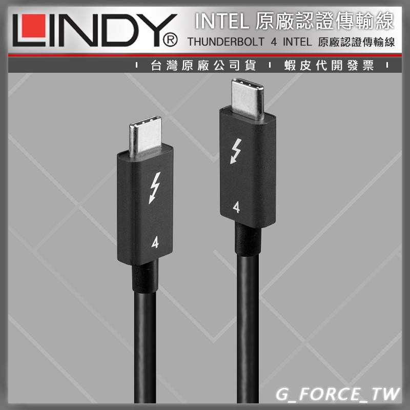 LINDY 林帝 被動式 THUNDERBOLT 4 INTEL 原廠認證傳輸線 100W 1M 31120