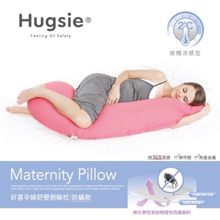 二手9成新！含運！下單請先聊聊～ Hugsie接觸涼感孕婦枕【防蟎款】瓷藍