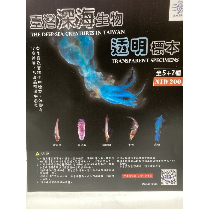 透明魚標本 優惠推薦 21年9月 蝦皮購物台灣