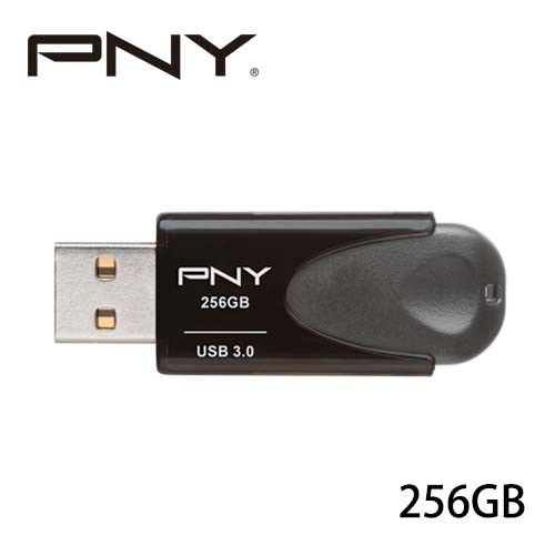 PNY Turbo Attaché 4 高速隨身碟 (256GB)