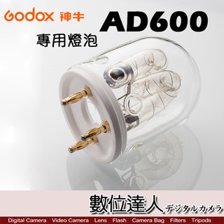 Godox 神牛 AD600 專用燈泡 AD600FT 600W 燈管 棚燈 外拍燈 適用 AD600BM 數位達人