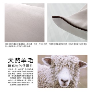 喀什米爾高原羊毛枕  羊毛枕 MIT台灣製造 AW #2