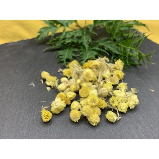 {薆田}永久花Immortelle 乾燥花草 永久花純露 手工皂用 浸泡油材料 西洋花草茶飲