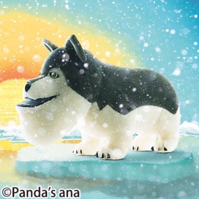 日本景品厚斗星球 扇斗動物園絨毛娃娃 灰狼 蝦皮購物