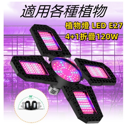 植物燈 4+1 可折疊 120W  LED E27 紅藍譜植物燈 生長燈室內大棚植物 多肉補光燈盆栽 全電壓