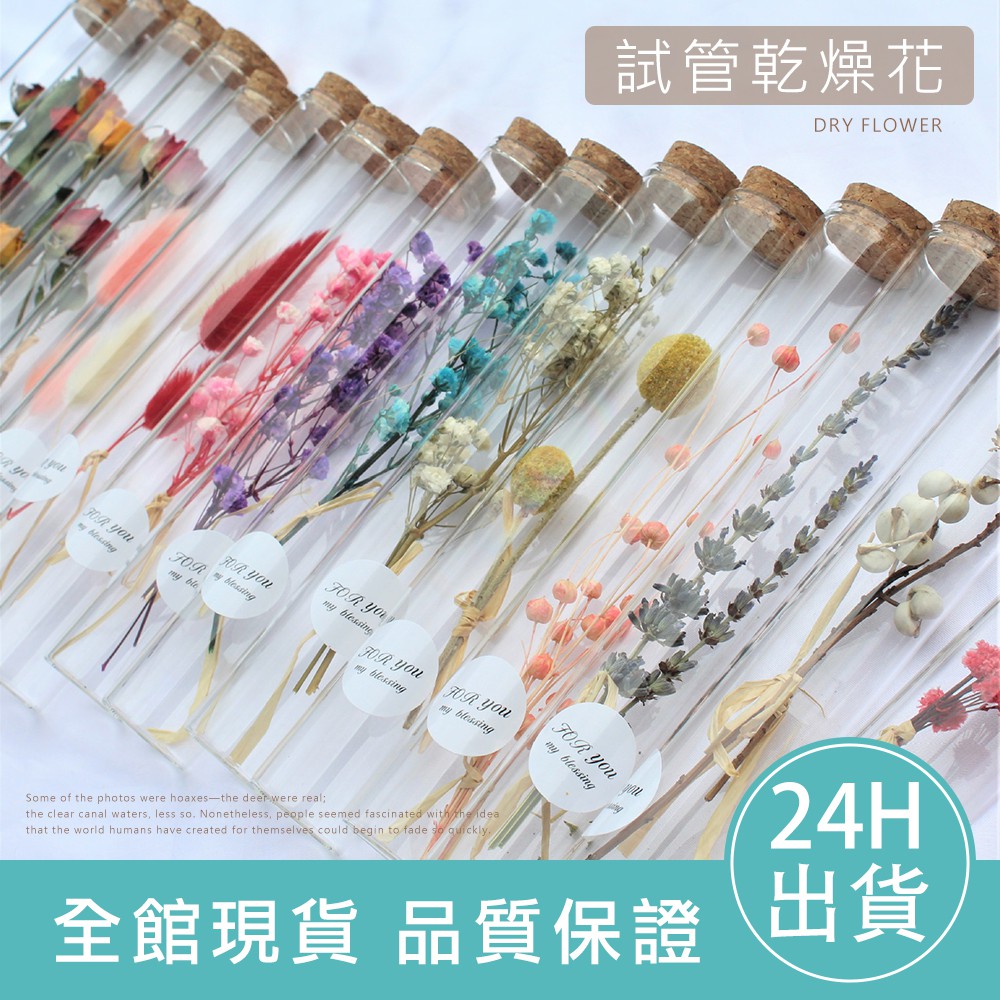 超低下殺 售完不補 試管乾燥花瓶中花滿天星薰衣草乾燥花不凋花永生花裝飾許願瓶試管花瓶中花情人節