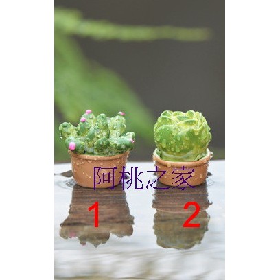 阿桃之家*(多肉道具.水族.微景觀.園藝裝飾)R5多肉植物.仙人掌擺件苔蘚微景觀飾品多肉擺件 DIY組裝擺件批發 擺件園藝