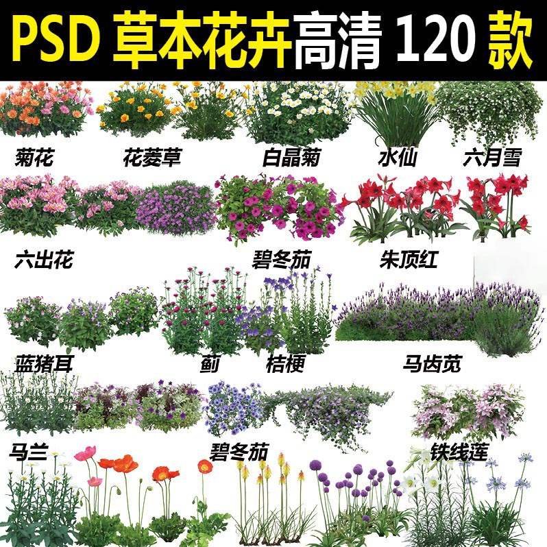 Ps高清園林景觀立面草本植物耐陰宿根球根水生花卉psd花境素材 蝦皮購物