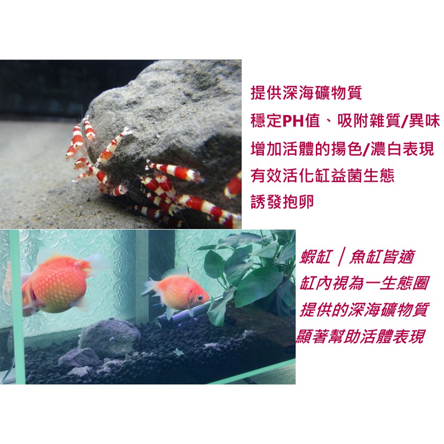 淞亮 水族魔石 太古海泥 增加活體揚色 濃白表現 魚蝦皆適 提供深海礦物質活化水質 養蝦必備 水晶蝦 蘇蝦 深海提取