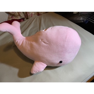 非常律師愛的療癒鯨魚🐳抱枕！