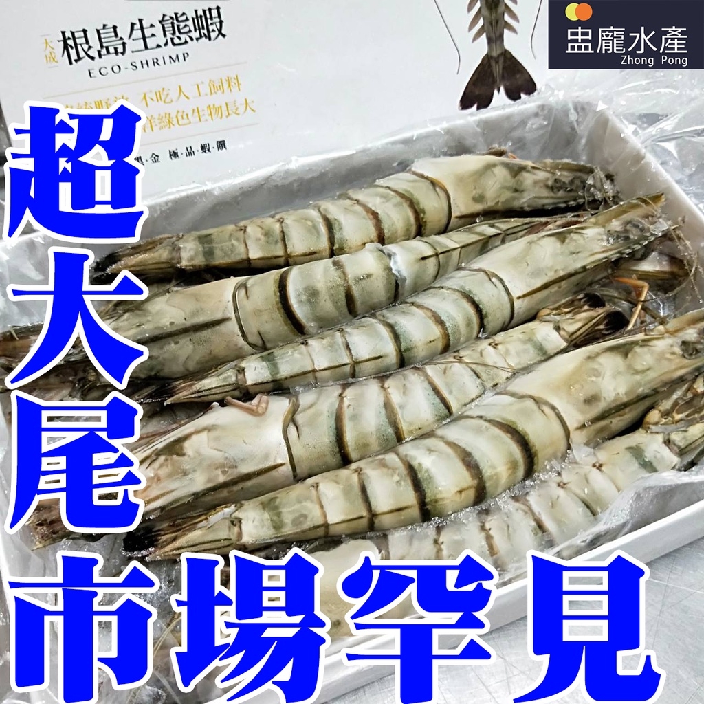 【盅龐水產】根島生態蝦12P - 淨重800g±5%/盒(12隻)