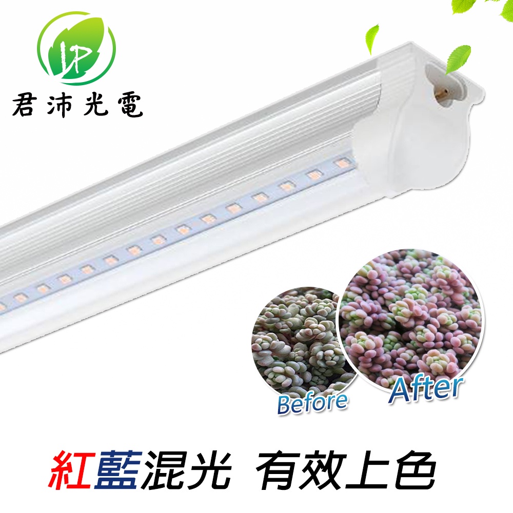 【君沛】LED植物燈 T8植物燈管 3呎25W 紅藍光 植物生長燈 插頭式設計免燈管支架
