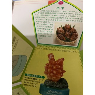 海洋堂東北陸奧物產展青鬼赤鬼三春駒八幡馬福島青森蘋果青森慶典燈會日本民俗轉蛋模型擬真 蝦皮購物