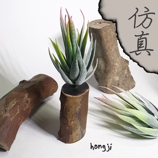 多肉 模擬多肉 微景觀 P85 假多肉植物 辦公室小物居家裝飾商店擺飾盆栽生日禮物拍照道具咖啡屋木頭底座