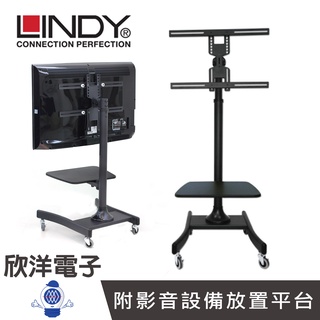 LINDY林帝 可移動式 液晶電視固定架 (40762) 適用學校 店面行銷 展覽 會議