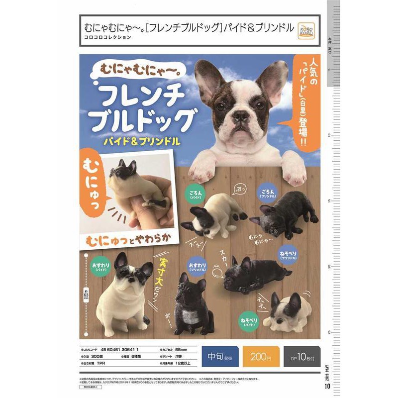 現貨 KOROKORO 轉蛋 扭蛋 捏捏慵懶法鬥犬 鬥牛犬  P2 全6種