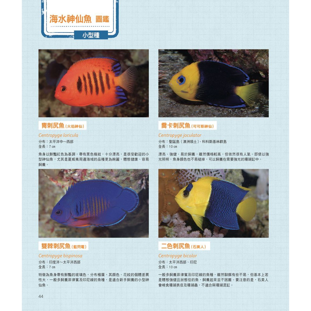 給新手的海水魚飼養指南 蝦皮購物