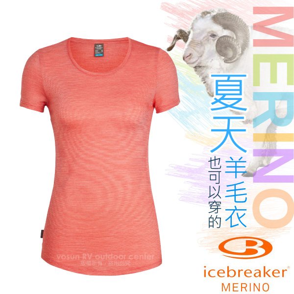 【紐西蘭 Icebreaker】女款 美麗諾羊毛COOL-LITE圓領短袖上衣/特價75折/杜鵑紅條紋_IB104680