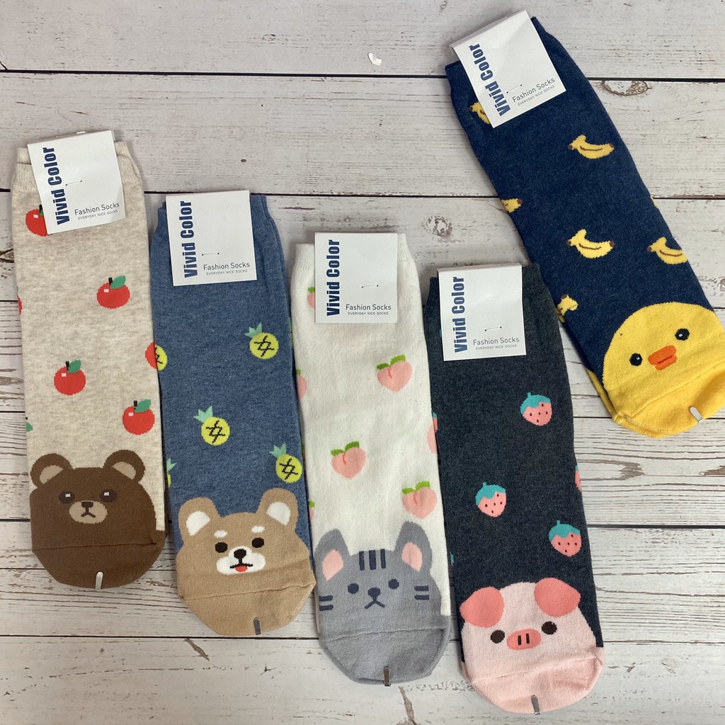 草莓柴犬的價格推薦 21年6月 比價比個夠biggo