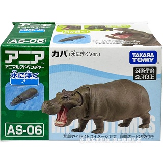 【HAHA小站】AN18081 正版 日本 多美 AS-06 河馬 可漂浮 探索動物 多美動物 動物模型 可動 禮物