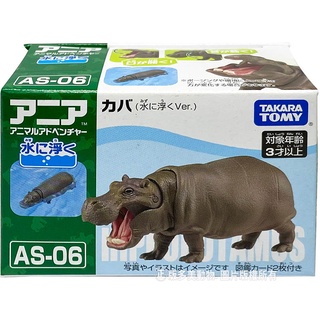 【免運 3C小苑】AN18081 正版 日本 多美 AS-06 河馬 可漂浮 探索動物 多美動物 動物模型 可動 禮物