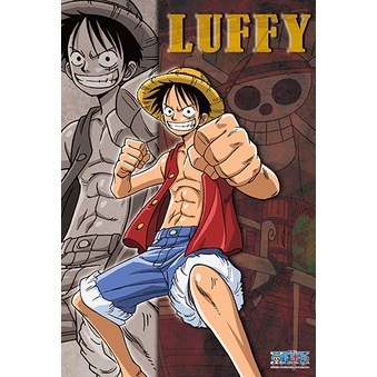 【台灣品牌】300片拼圖  海賊王 草帽小子 魯夫 ONE PIECE 航海王300S-100