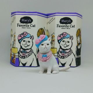 Mary's Favorite Cat  時尚寵物貓咪（Mimi異短貓）時尚萌寵 #1