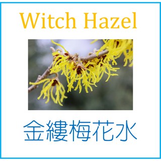 Witch hazel 金縷梅萃取液 / 花水 泡澡球噴霧水 化妝水