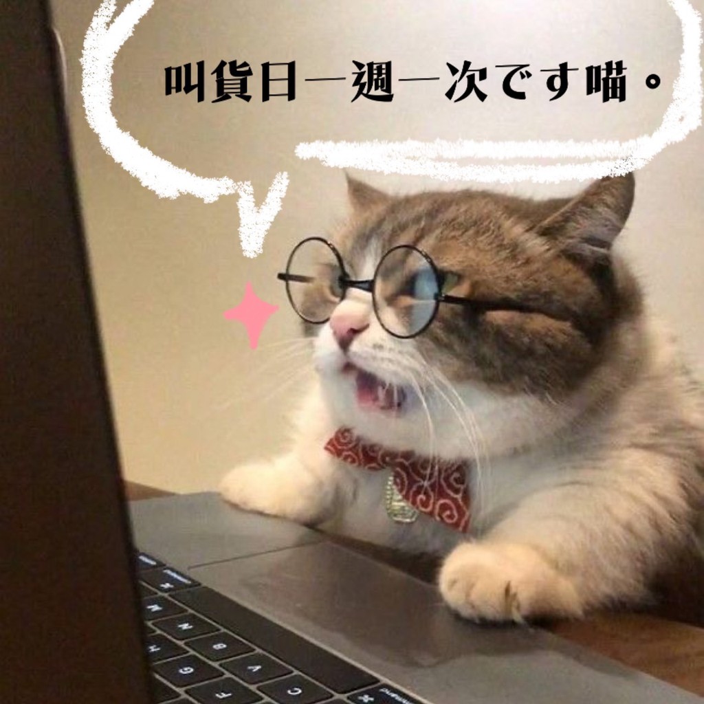 眼鏡なカノジョ 設定資料 ネット限定