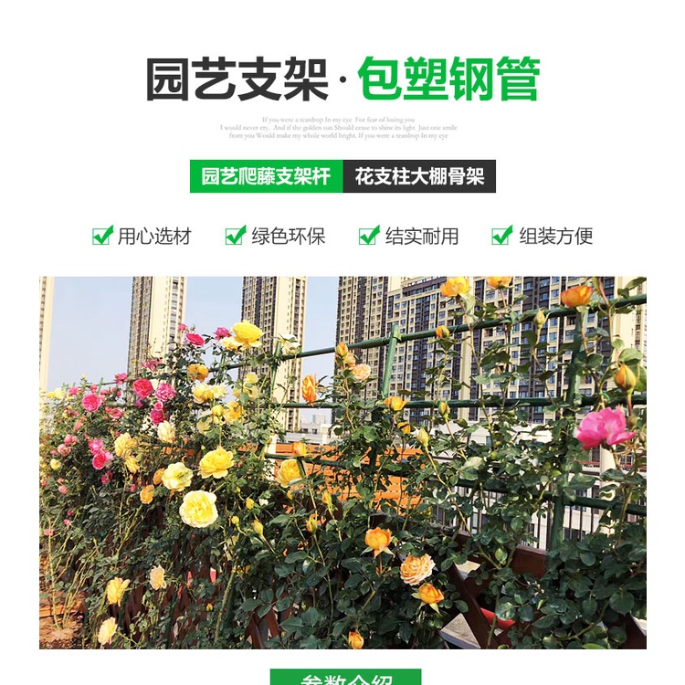 爬藤支架 爬藤桿園藝支柱包塑鋼管爬藤支架花支柱月季黃瓜植物花卉藤蔓爬藤 蝦皮購物