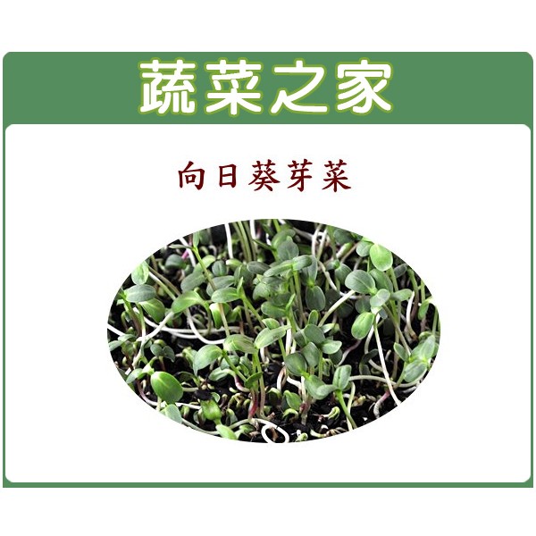 蔬菜之家 J08 向日葵芽種子克 芽菜種子 蝦皮購物