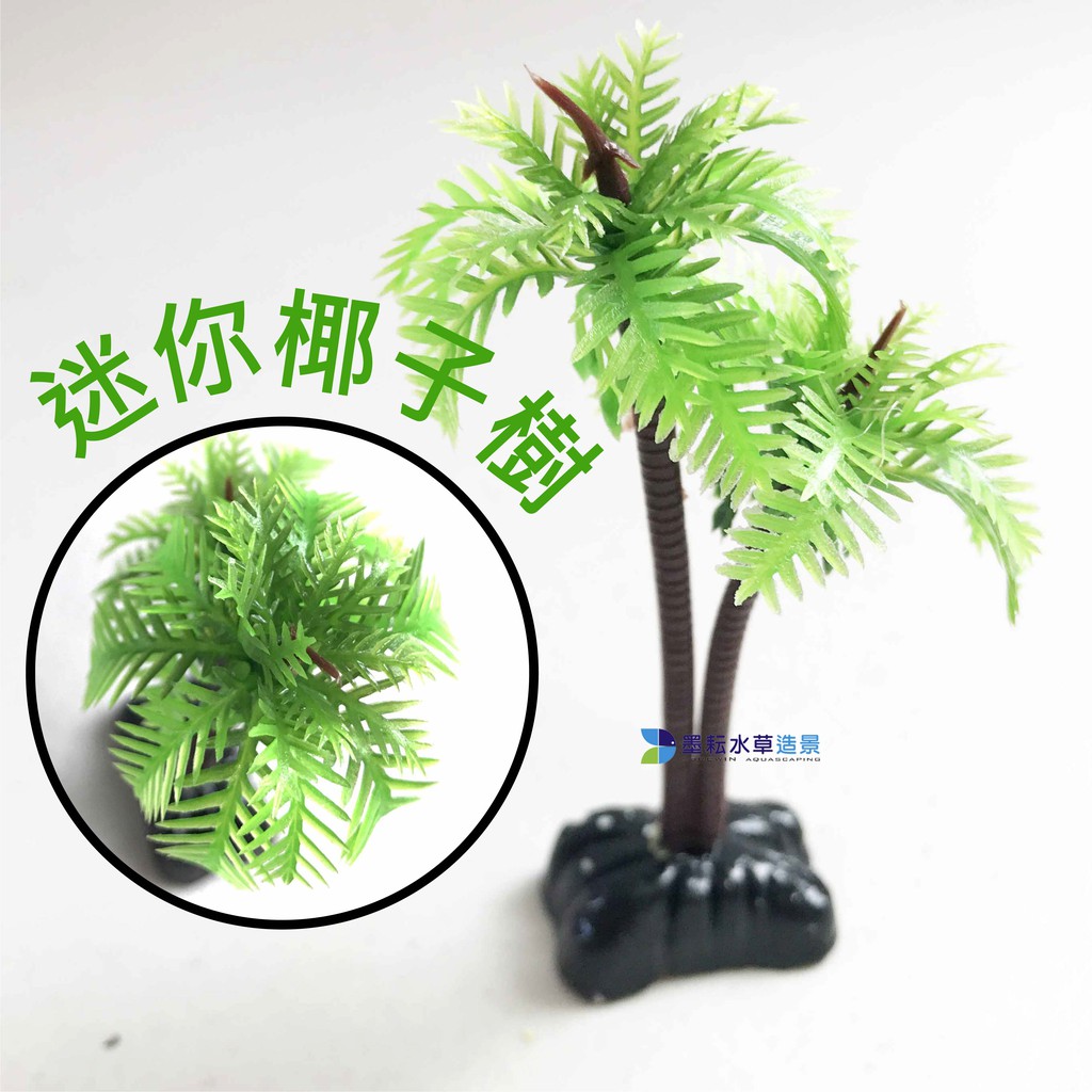 @墨耘@迷你 椰子樹 微景觀 椰子樹 仿真樹 植物 迷你 小樹 椰樹 小草 假樹 塑膠樹 微景觀 擺件 花草 椰子