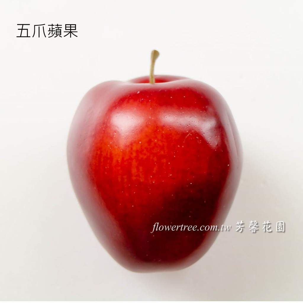 現貨 仿真五爪蘋果 F10202 仿真蘋果水果靜物食物模型櫥窗佈置實品屋攝影道具會場佈置 蝦皮購物