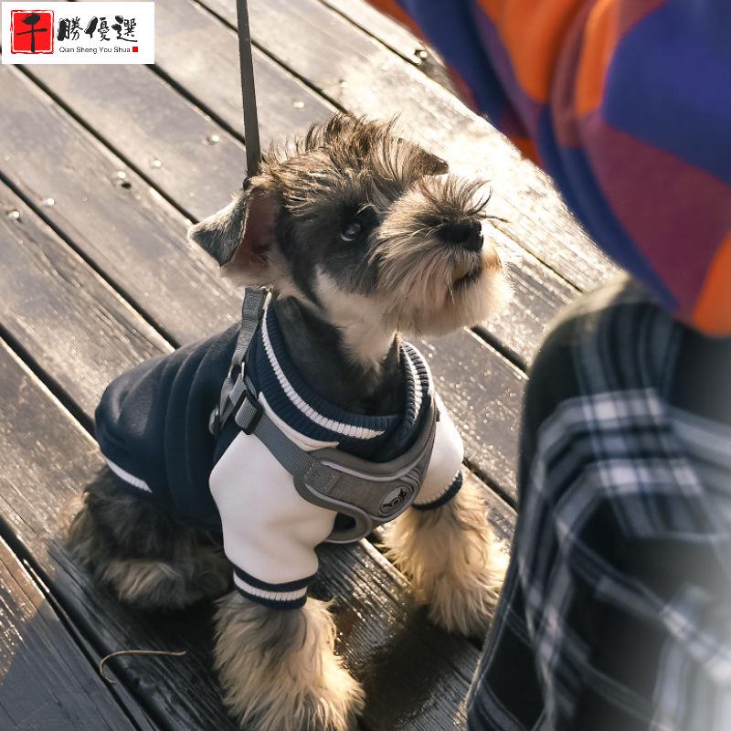 台灣犬棒球的價格推薦 22年8月 比價比個夠biggo