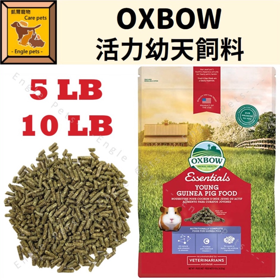 ╟Engle╢ OXBOW 活力幼天飼料 5LB 10LB 配方飼料 天竺鼠 幼年天竺鼠 幼天 苜蓿草 主食