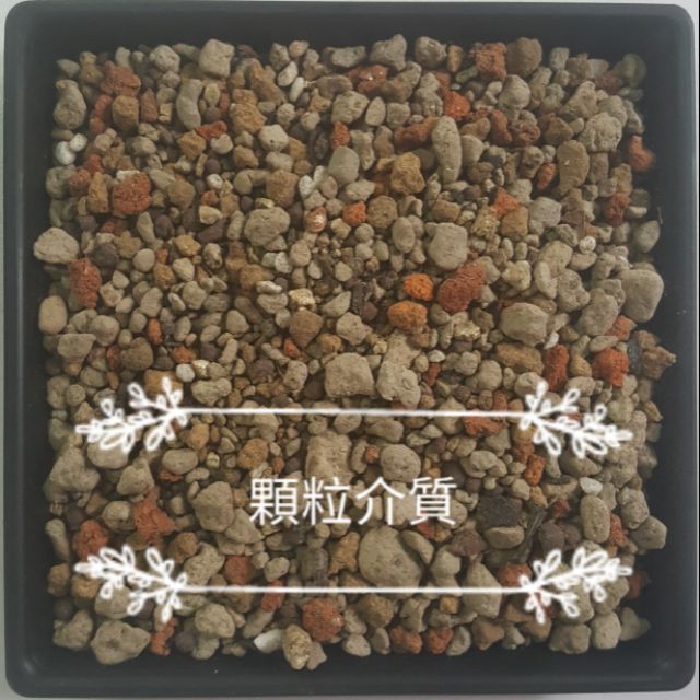 多肉植物專用介質多肉土顆粒介質仙人掌用土 蝦皮購物