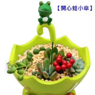 zakka創意卡通公仔龍貓 青蛙雨傘多肉植物微景觀樹脂花盆花器 龍貓花盆 療癒微景觀