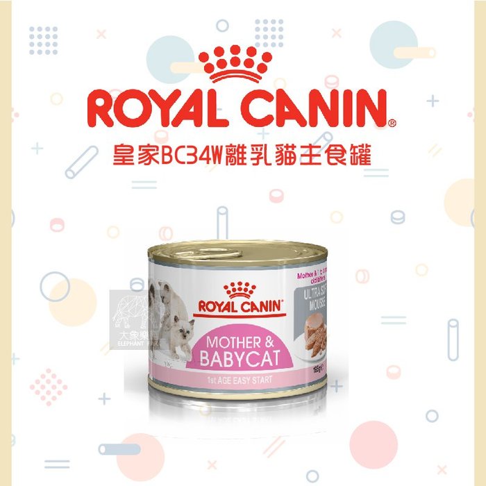（ROYAL CANIN皇家）主食濕糧餐罐。離乳貓與母貓。195g。奧地利製