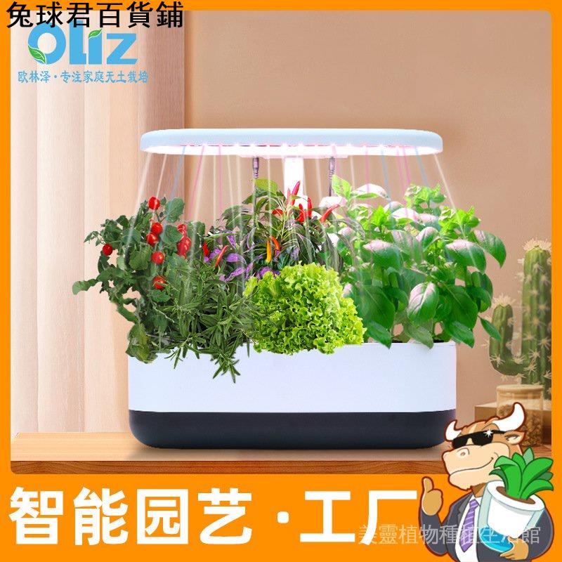 水耕栽培箱 Ptt Dcard討論與高評價網拍商品 21年9月 飛比價格