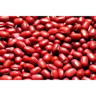 <168all> 600g【嚴選】台灣萬丹 紅豆 / 進口 紅豆 Red Bean