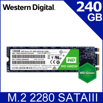 WD 綠標 SSD 240GB M.2 2280 SATA 固態硬碟